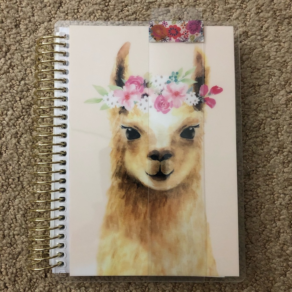 Llama Cover General Planner